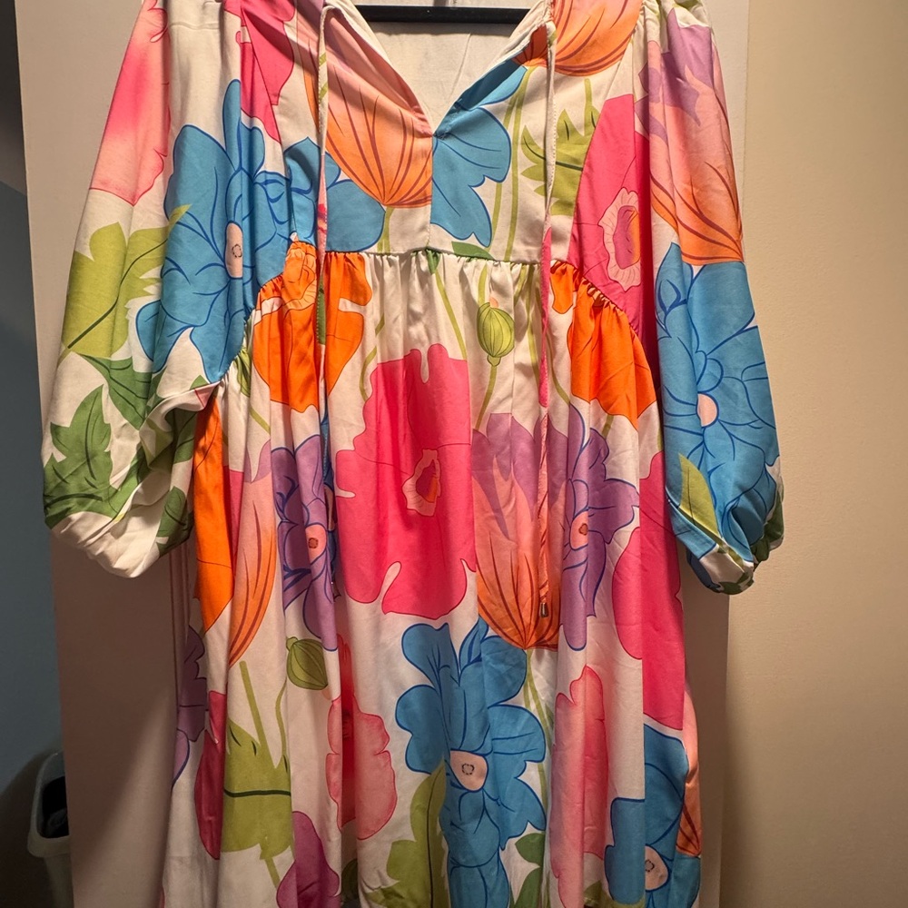 Entro Multicolor Floral Dress